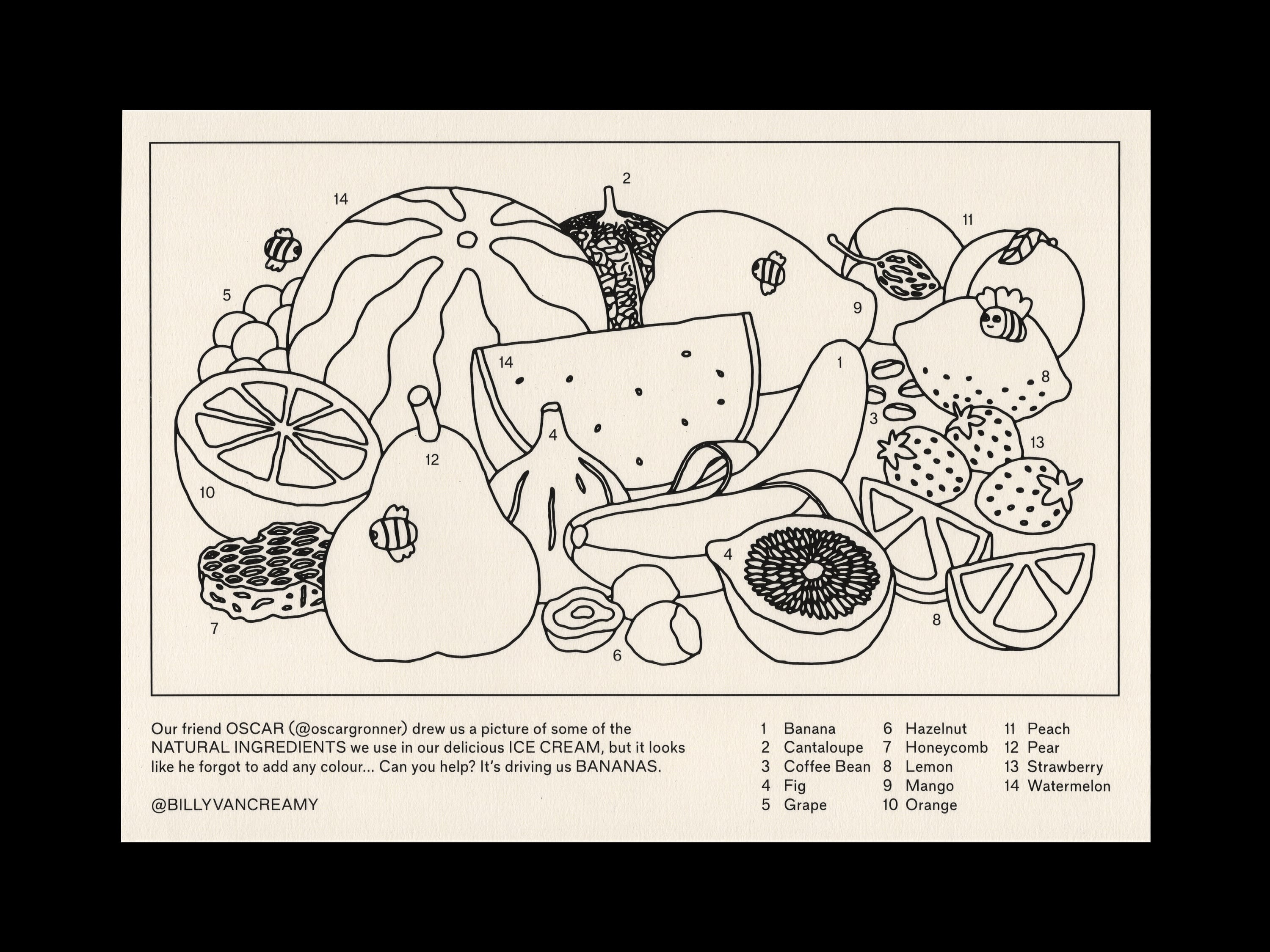 BVC Colouring Sheet 1