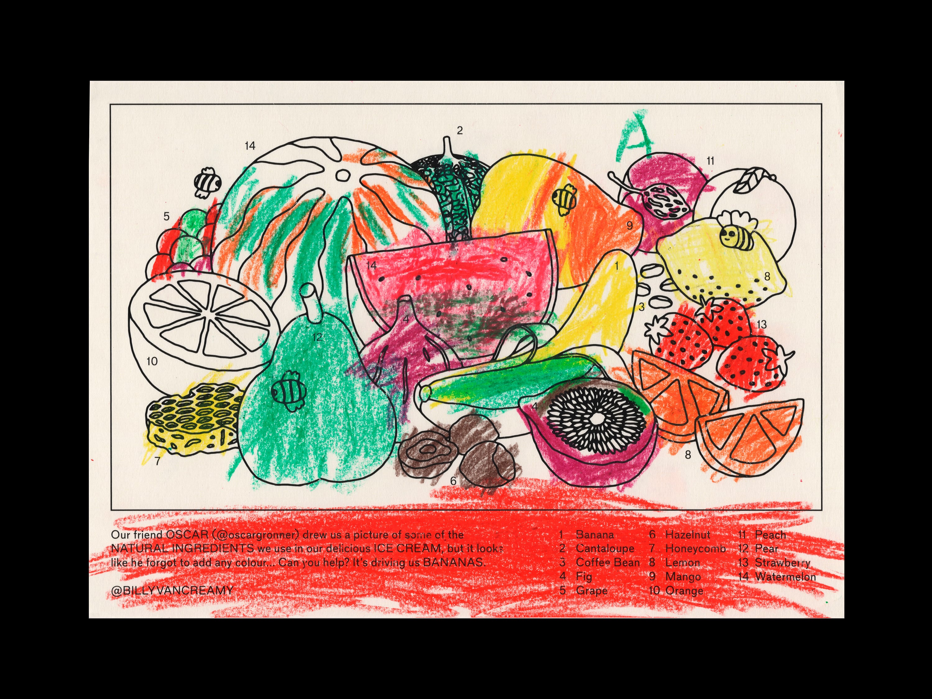 BVC Colouring Sheet 2